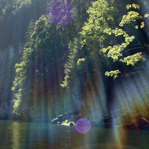 Image 220 - Jean-Pierre sergent, Water, Rocks, Trees & Flowers, April 2014, JP Sergent