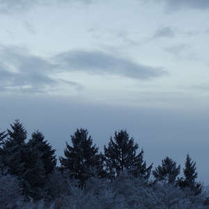 Image 57 - Trees into the Winter sunlight, JP Sergent