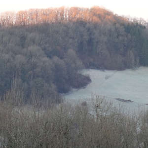 Image 37 - Trees into the Winter sunlight, JP Sergent