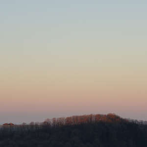 Image 36 - Trees into the Winter sunlight, JP Sergent