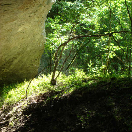 Image 13 - Z-visuels-grotte, JP Sergent