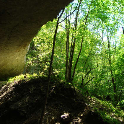 Image 14 - Z-visuels-grotte, JP Sergent