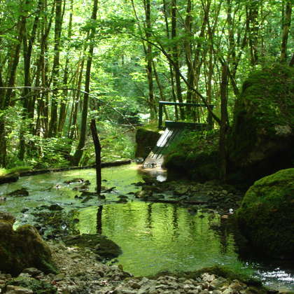 Image 12 - Z-visuels-grotte, JP Sergent