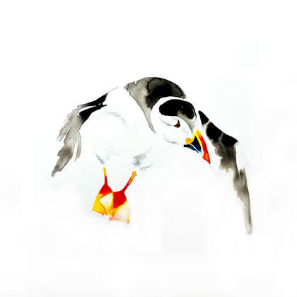 Image 2 - Z-expo-birds-eilbhe-donavan, JP Sergent
